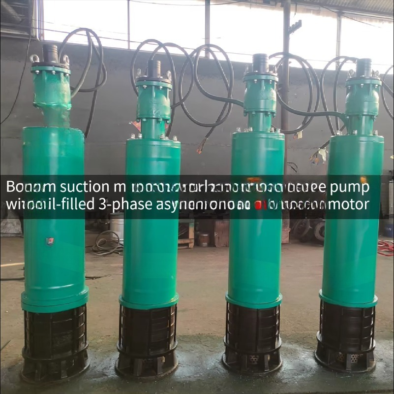 ปั๊มน้ำดูดตะกอนแบบจุ่มใต้น้ำ ข - Water Pump Submersible บทวิจารณ์และราคา